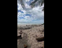 Woman with cap yoga poses at beach Part 1
