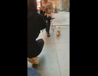 Girl pretends to read museum pamphlet 