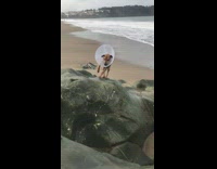 brown dog wearing cone running in slomo 