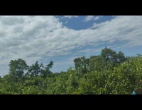 Guy surrounded by plants gets scared of spider