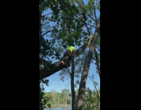 Man suspended in crane rope cut tree