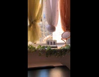 Inflatable Human Doll In Tree Outside Girls Window