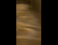 Cat jumps off bed girl screams switch