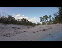 Guy speeds by on motorcycle dirt bike 