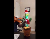 Man plays violin gets mimicked by cactus toy