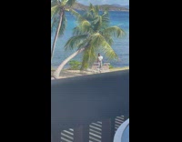 Woman white shirt dance beach tree beds