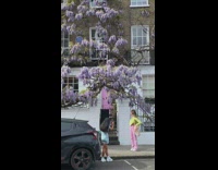 Girl in Pastel Outfit Poses with Tree Flowers 