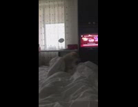 Brown dog growls foot under white blanket 