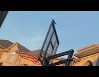 Bird on basketball board make noises house