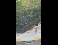 Girl black sleeves pose outside corner street 