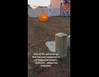 Trick or treat little boy throws candy