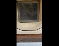 Pet cat tries to exit on the pet door on the door