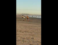 Man construction vest slow down signage beach