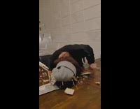 Girl smashes three gingerbread houses with head 