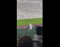 Man in a jacket and a cap poses on the baseball field side