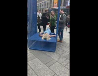Girl lays in blue cage picture