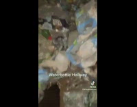 Disgusting college apartment house with trash all over 