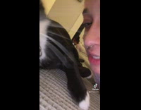Girl wakes up her sleeping cat revenge 