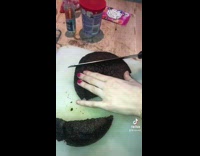 Girl bakes and decorates hedgehog cake 