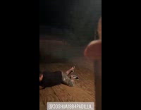 Man Opens Beer then Friend Falls of Skateboard