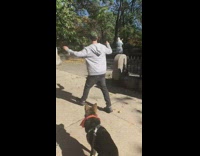 Guy bows down two dogs orange bandana 