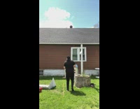 Brown dog bites guy house backyard 