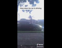 Car brakes mom falls forward 