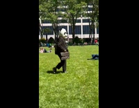 Collab WINY - Man panda mask walk on park grass with bags
