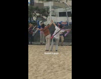 Two women holding hands sand three photographers