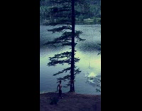 Collab VIBES - Man swing backflip fail dive on water