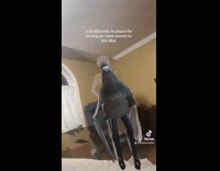 Woman dancing while using pigeon filter 