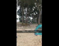 Girl swings on tree swing