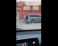 Collab winy - Woman let pigeon down from arm street