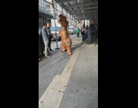 Inflatable orange trex dinosaur walks down sidewalk