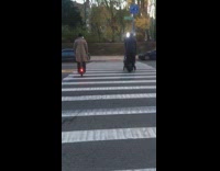 Two guys on onewheels cross street conversation 