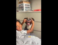 Kid playing with dogs jowls 