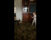 Baby tries to kiss feisty cat 