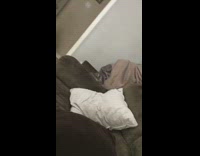 White onesie little girl falls off couch