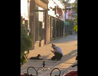 White shirt girl black face mask dog