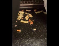 Cracked crab legs under the subway seat