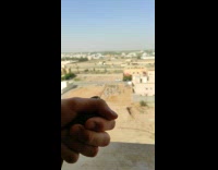 Small bird freed and flown from the filmers hand