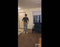 Guy comes home sees hamster threw party 