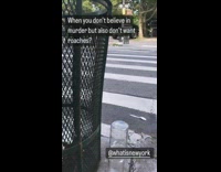 Cockroach trapped inside two glass bottle street