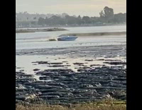 Guys swim towards boat after falling out