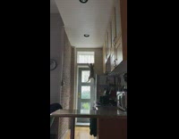 Cat hanging from doorway falls off onto floor