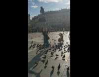 Black shirt lady poses pigeons on hand 