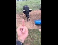 Man pets cow get hit by horn