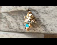 Long Insect Crawls with Rocks and Wood Attached to It 