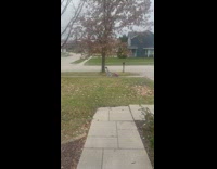 Womans daughter runs away for not giving her candy 