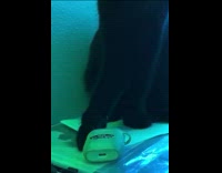 Black cat drops vans airpods case table